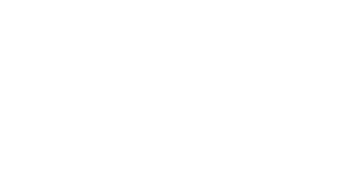 Zoni-gun